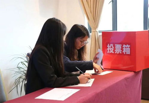 大理市小微型汽車租賃協會成立暨小微型客車租賃經營服務啟航